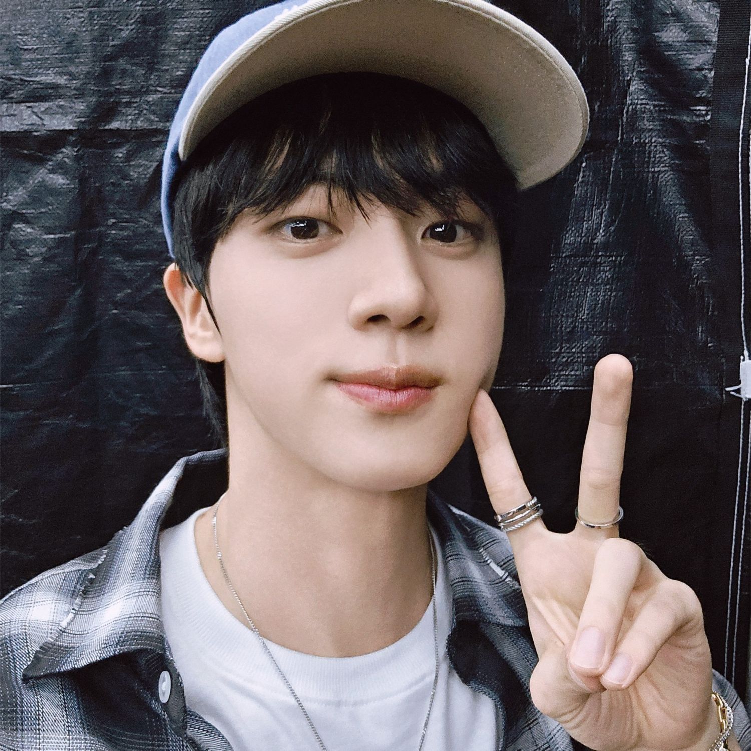 Momen yang diabadikan oleh penggemar Jin (BTS)