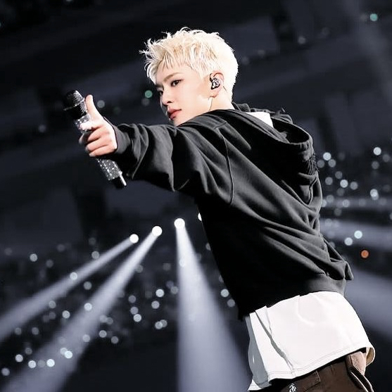 A moment captured by Hoshi (SEVENTEEN)'s fan