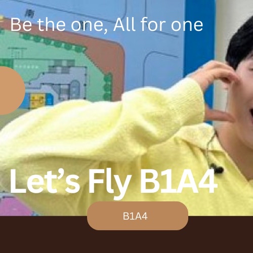 Recent activity shot of B1A4