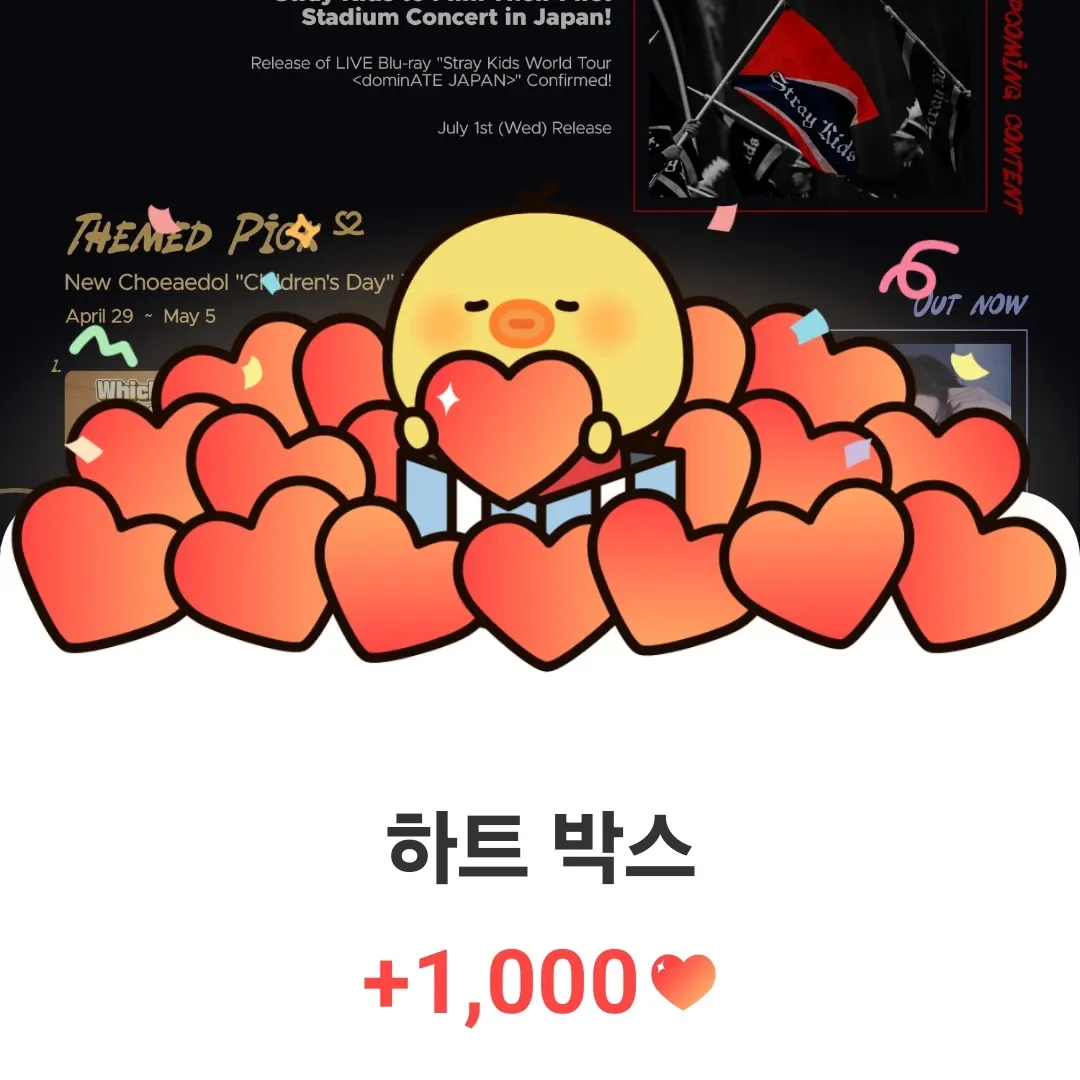 Stray Kids 팬이 찍은 순간
