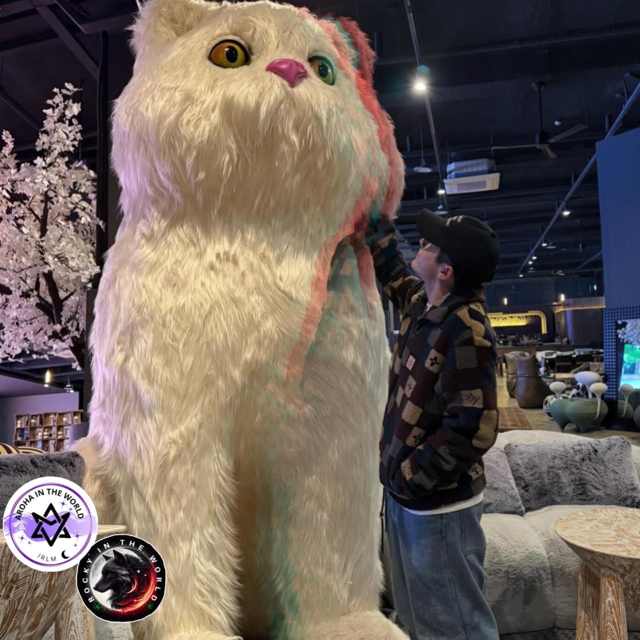 A moment captured by Jinjin (ASTRO)'s fan