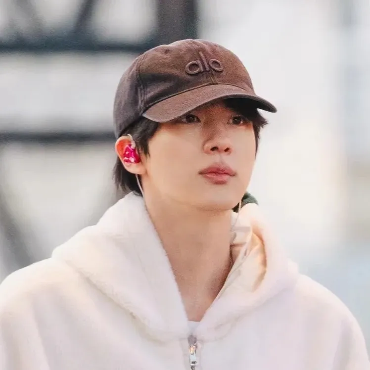 진 (방탄소년단) 팬이 찍은 순간