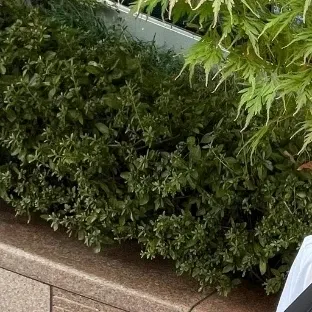 Latest photo of Donghwa (KickFlip)
