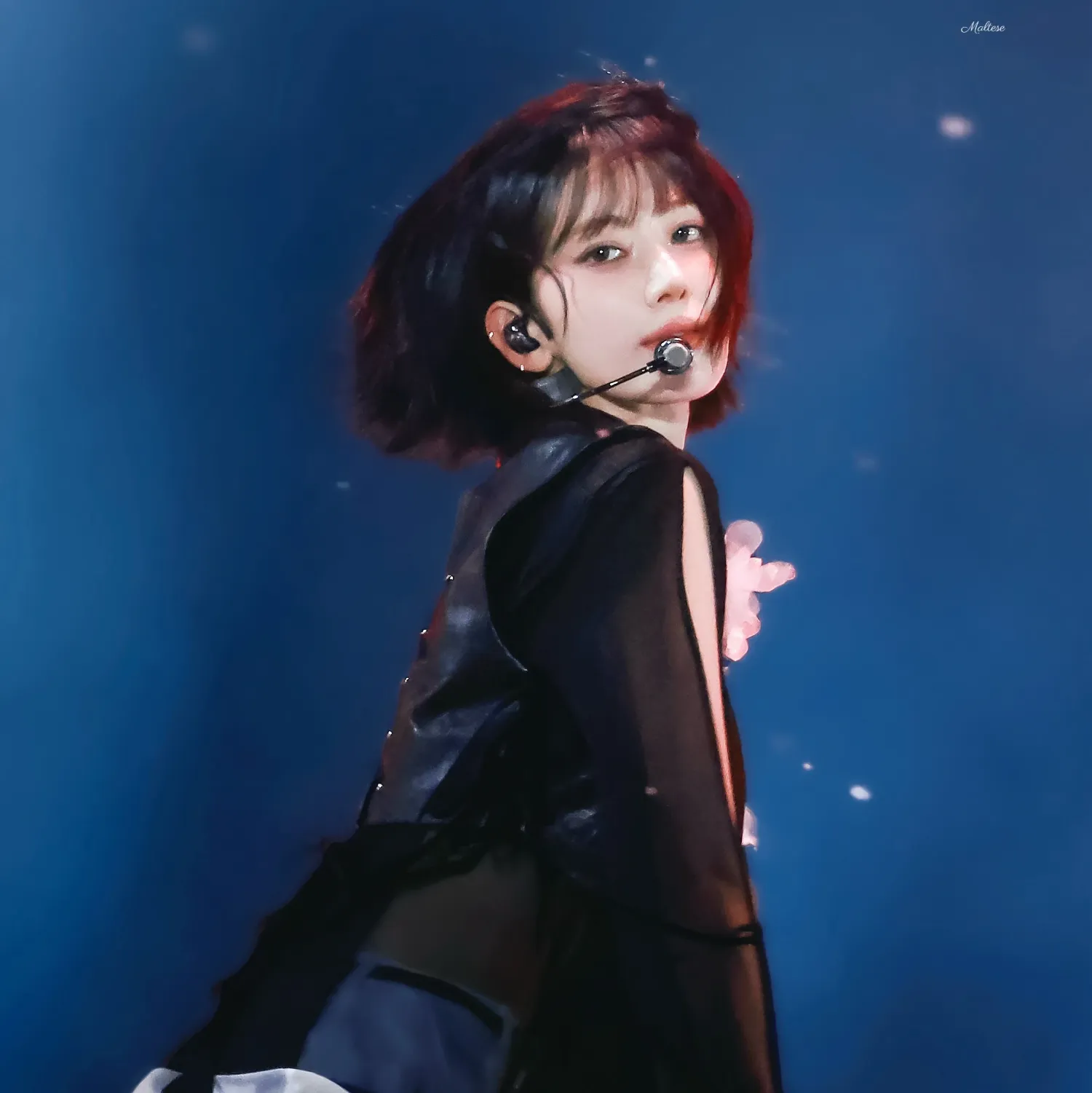 사쿠라 (르세라핌)의 최신 사진