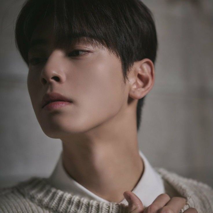 A moment captured by Eunwoo (ASTRO)'s fan