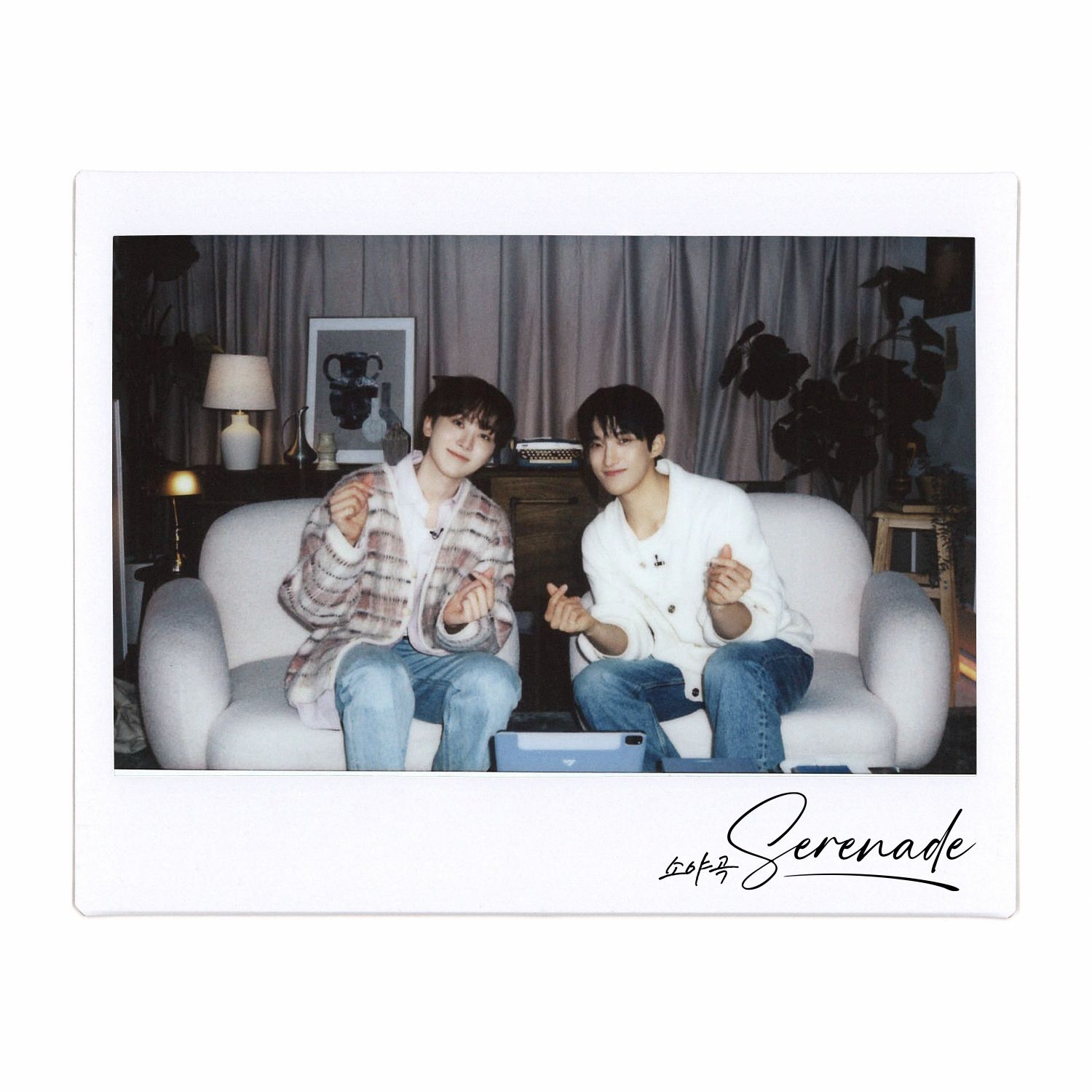 세븐틴 팬이 찍은 순간