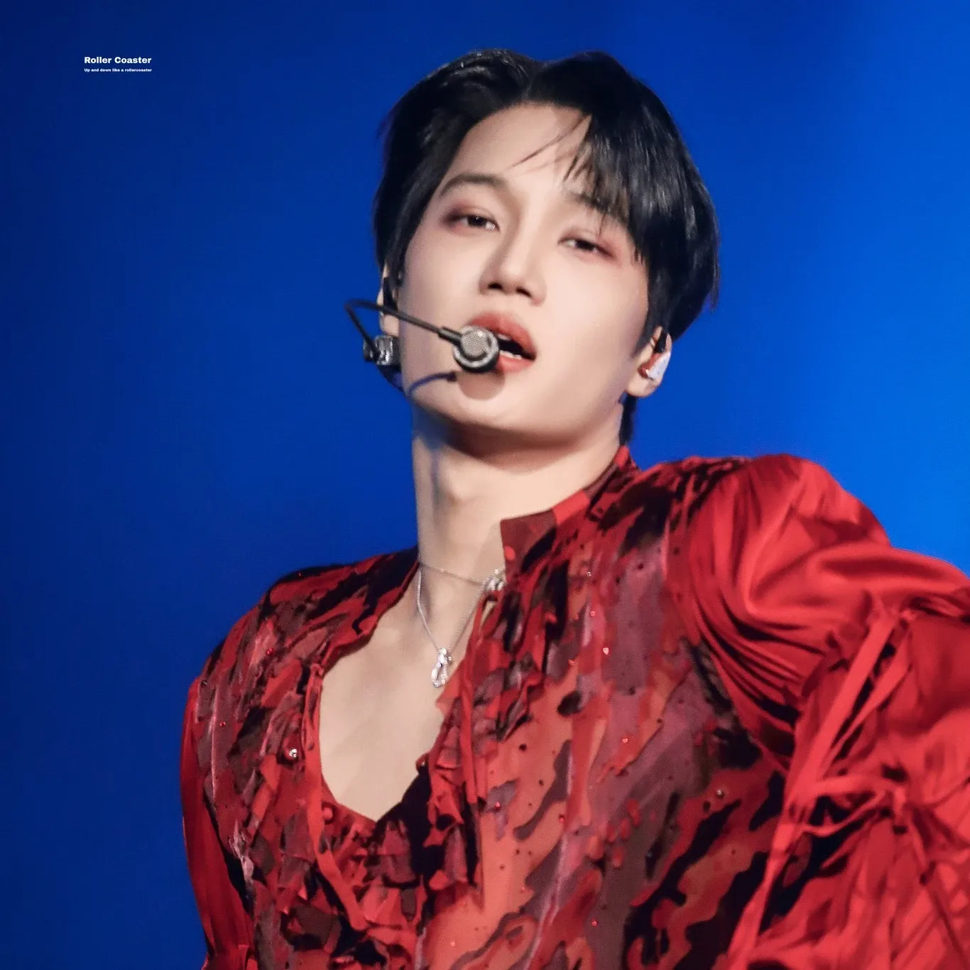EXO 팬이 찍은 순간