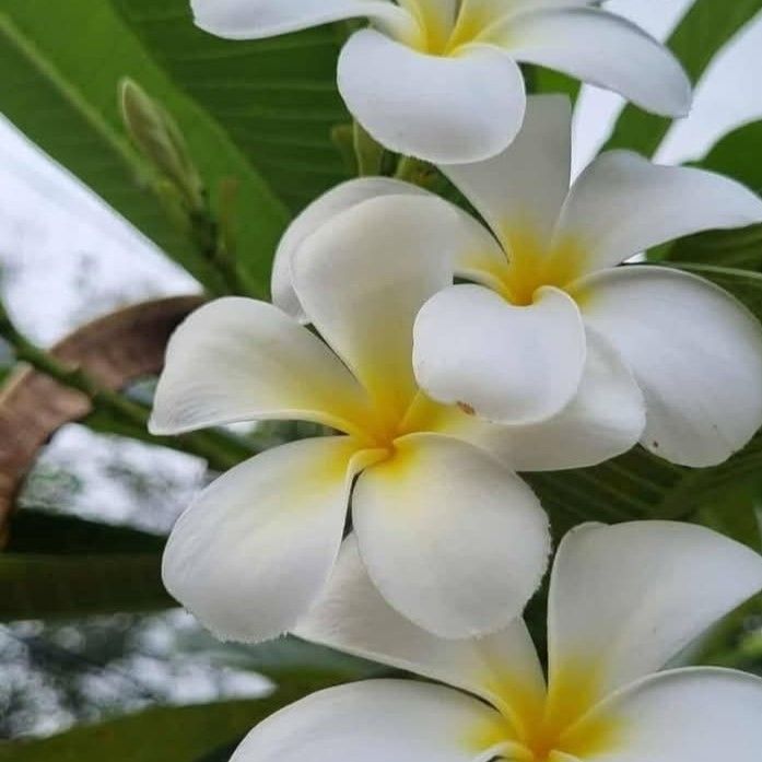 A moment captured by Winter (aespa)'s fan