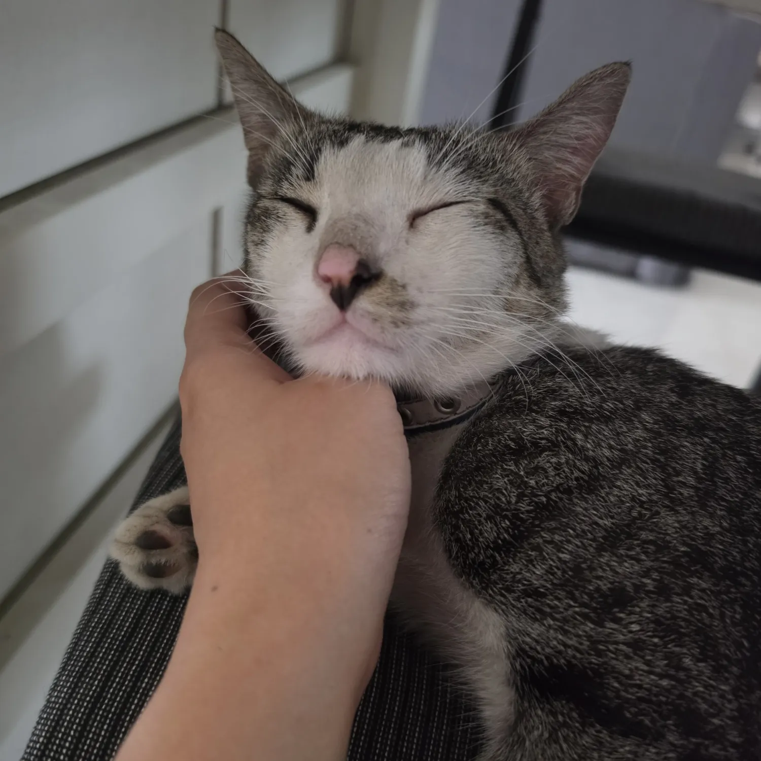 세븐틴 최근 활동샷