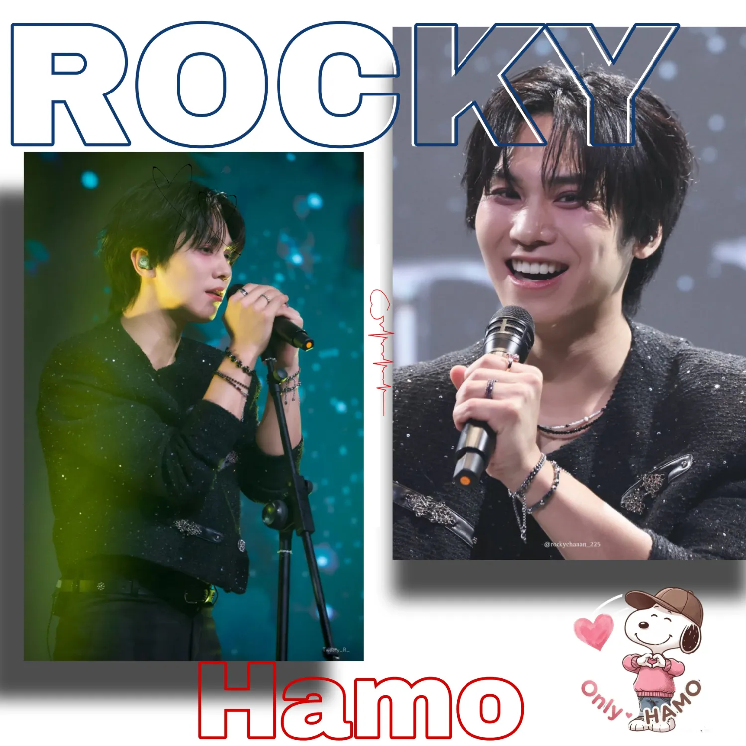 Latest photo of Rocky