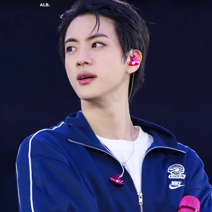 진 (방탄소년단) 팬이 찍은 순간