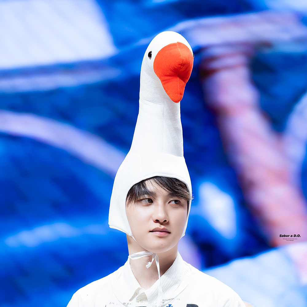 Foto aktivitas terbaru D.O. (EXO)