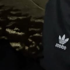 Latest photo of Kim Garam