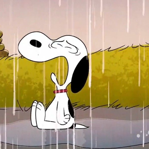 G-DRAGON (BIGBANG)的最新照片