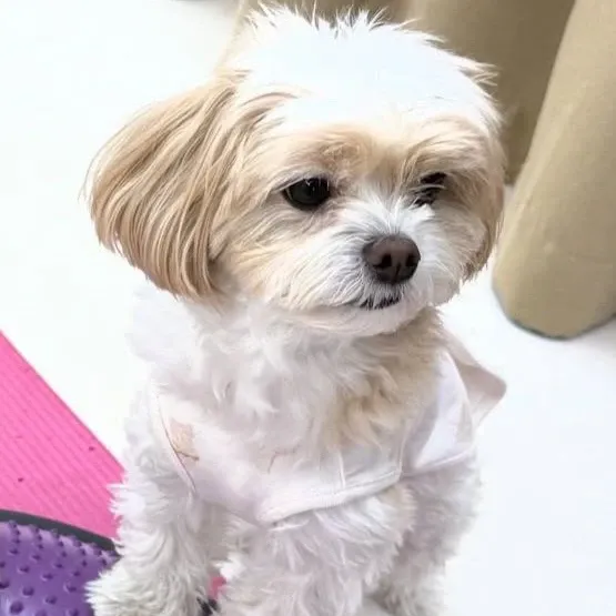 찬열 (EXO) 팬이 찍은 순간