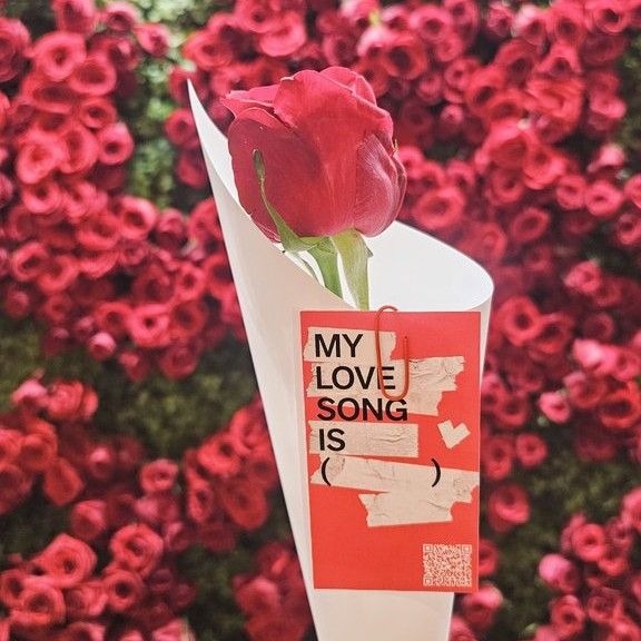 Recent activity shot of BTS