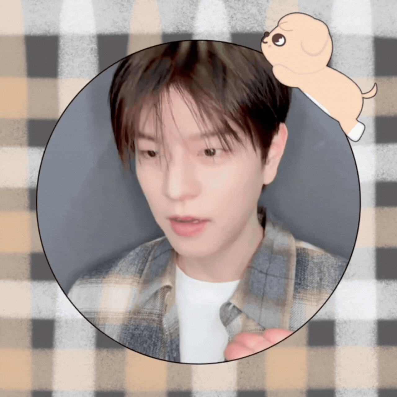 A moment captured by Seungmin (Stray Kids)'s fan