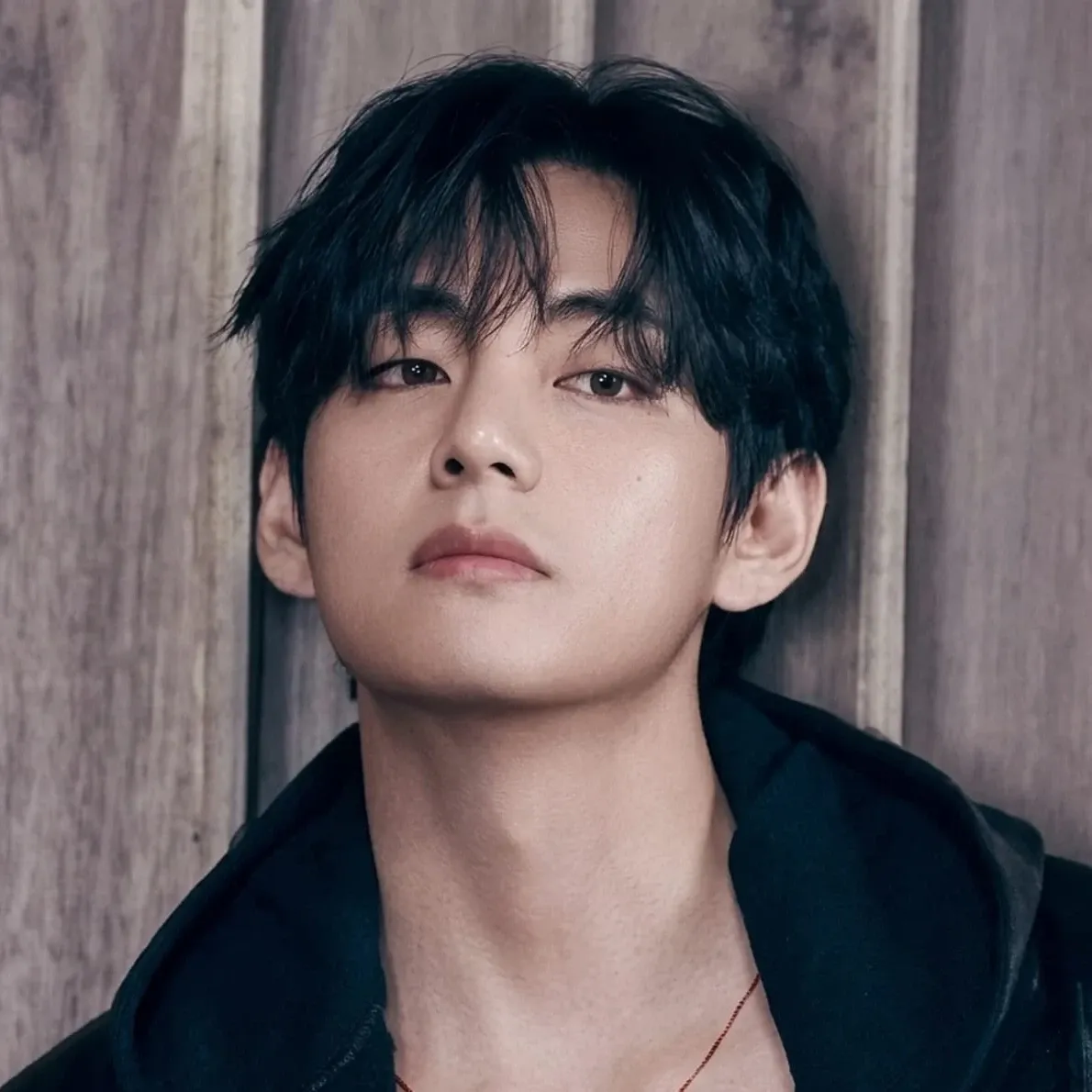 Potret di balik layar V (BTS)