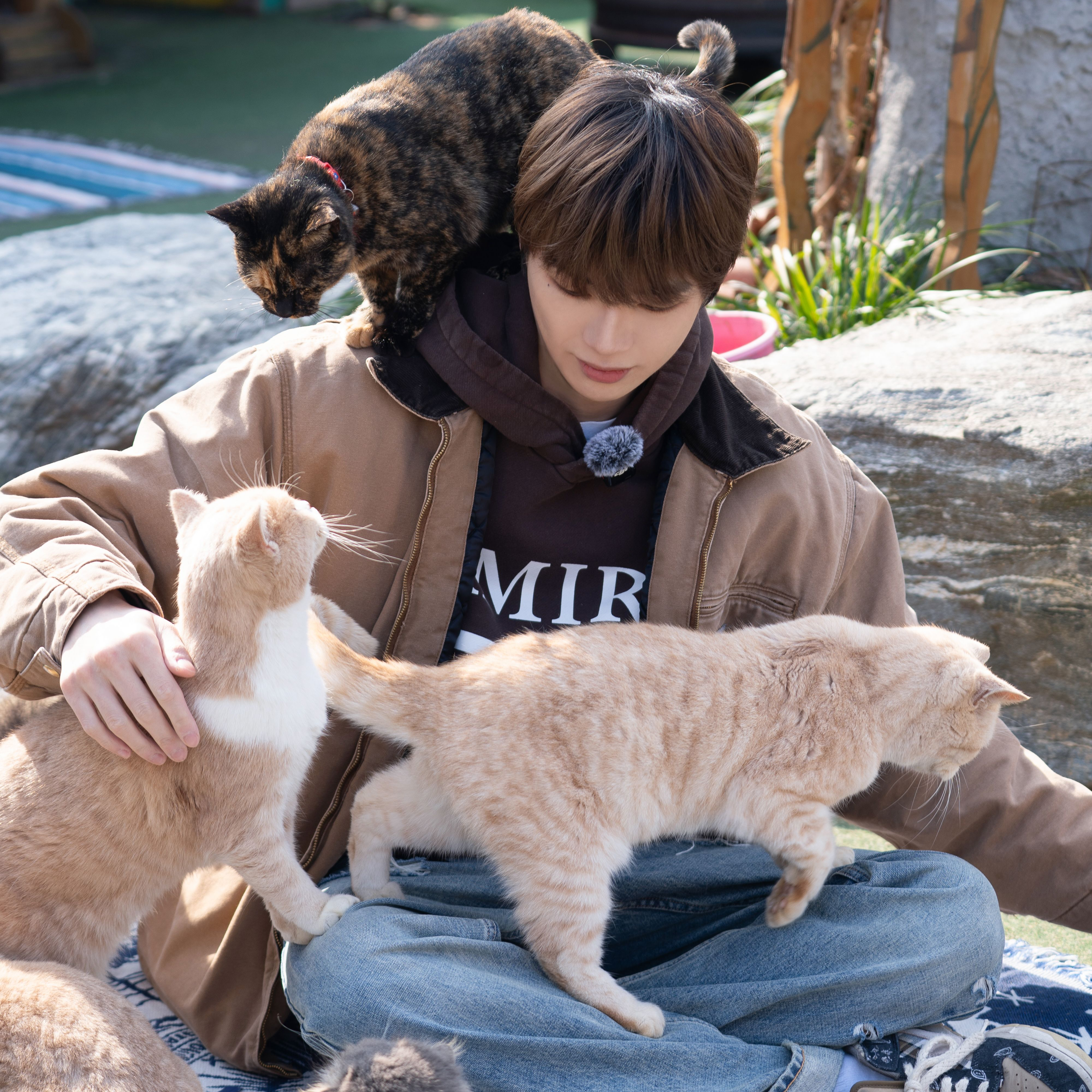 강다니엘 최근 활동샷