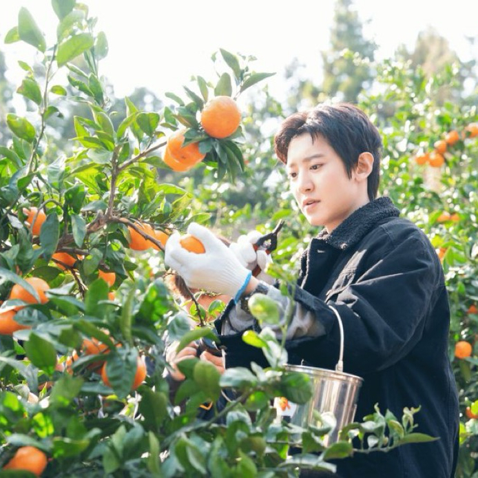 찬열 (EXO) 팬이 찍은 순간