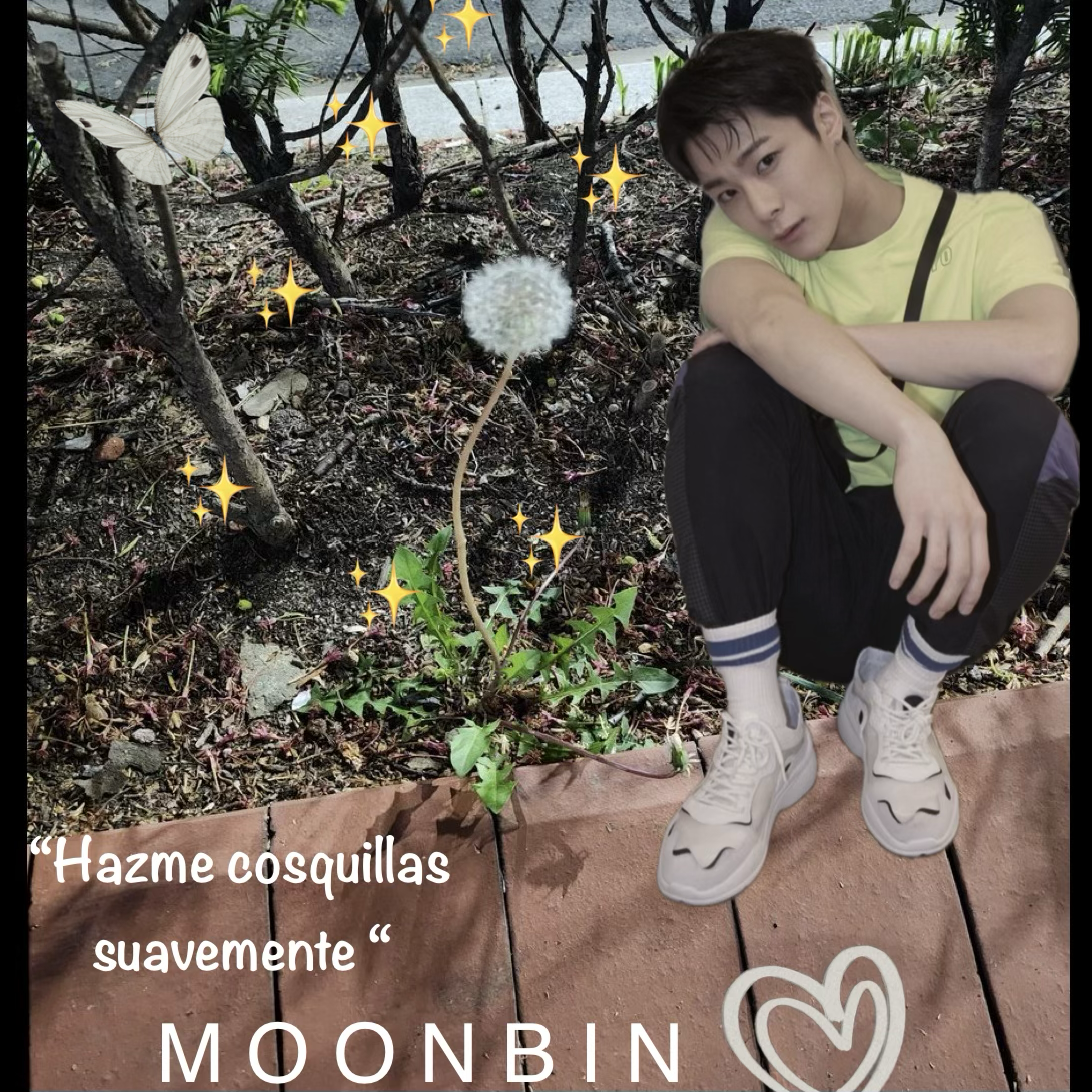 A moment captured by Moonbin (ASTRO)'s fan