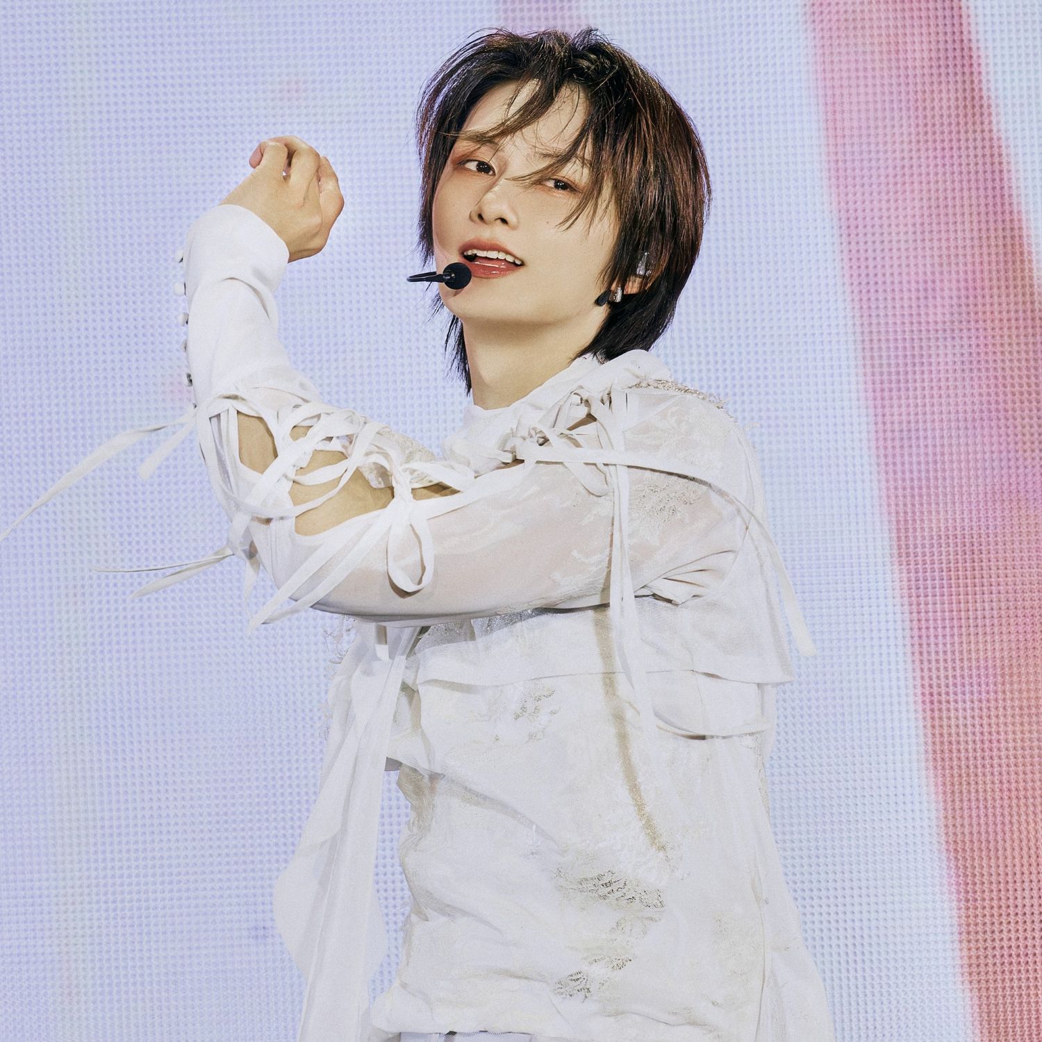 세븐틴 팬이 찍은 순간