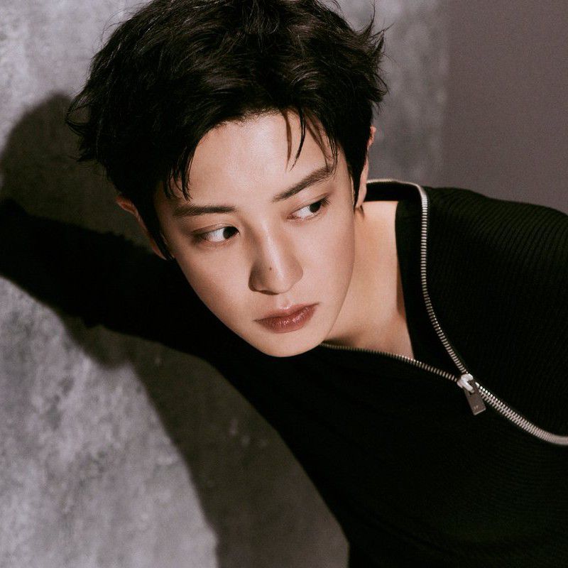 燦烈 (EXO)的最新活動照片