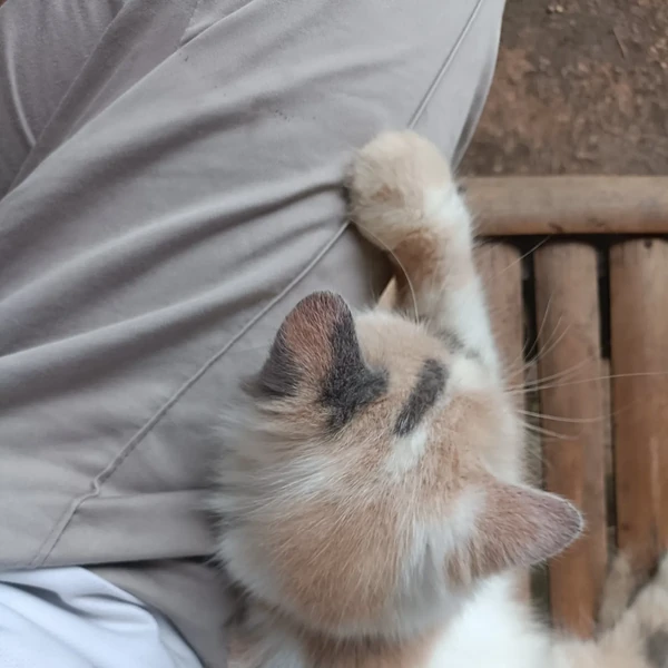 Popular profile image of Yoshi (TREASURE) selected by votes