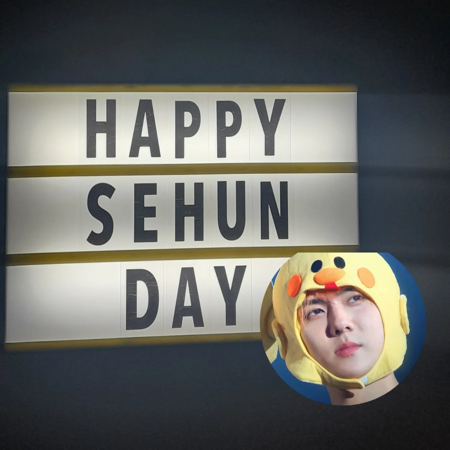 세훈 (EXO) 팬이 찍은 순간