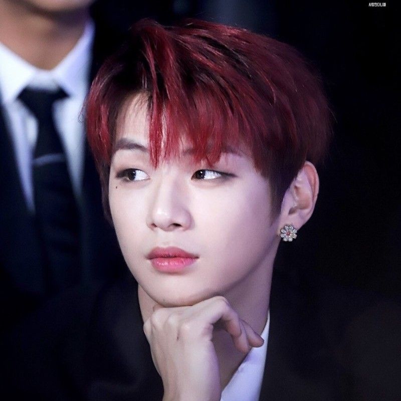 강다니엘의 최신 사진