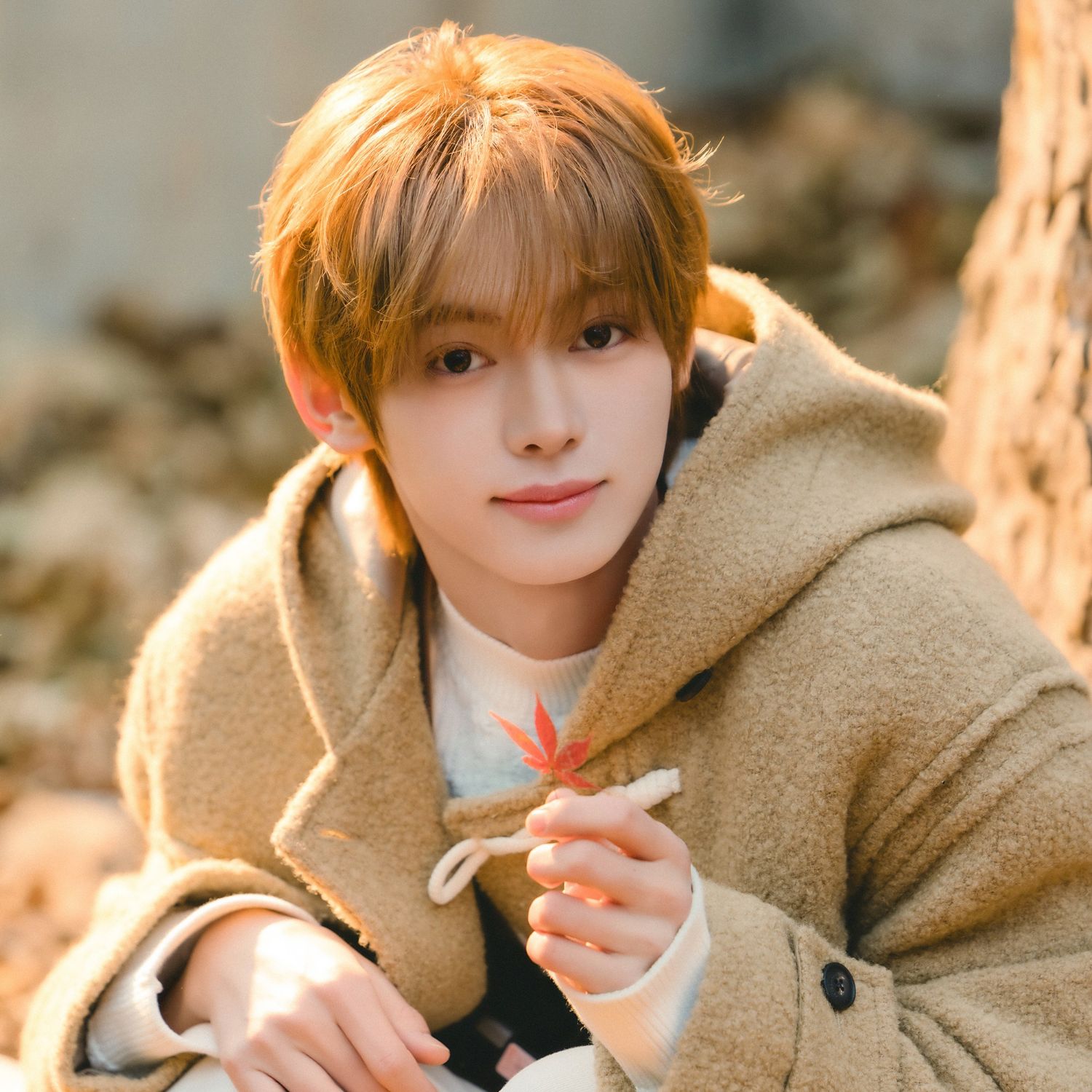 A moment captured by Hanjin (TWS)'s fan