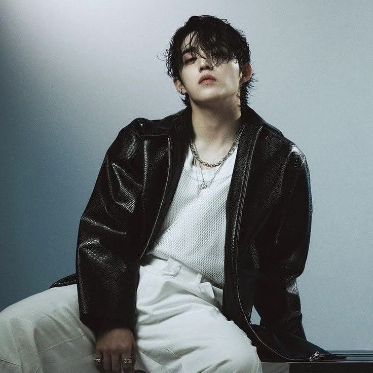 SEVENTEEN粉絲拍下的瞬間