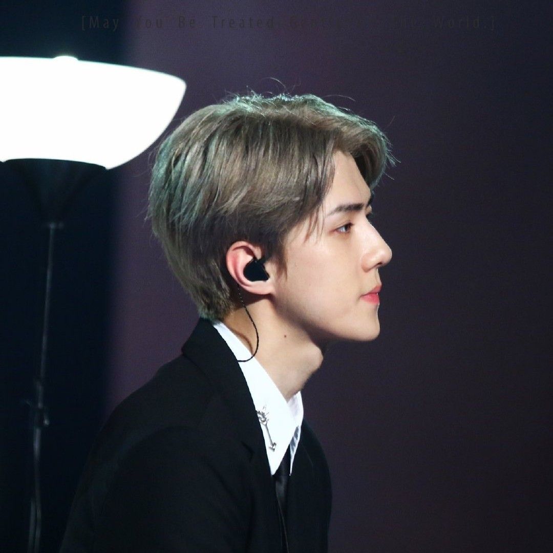 A moment captured by EXO's fan