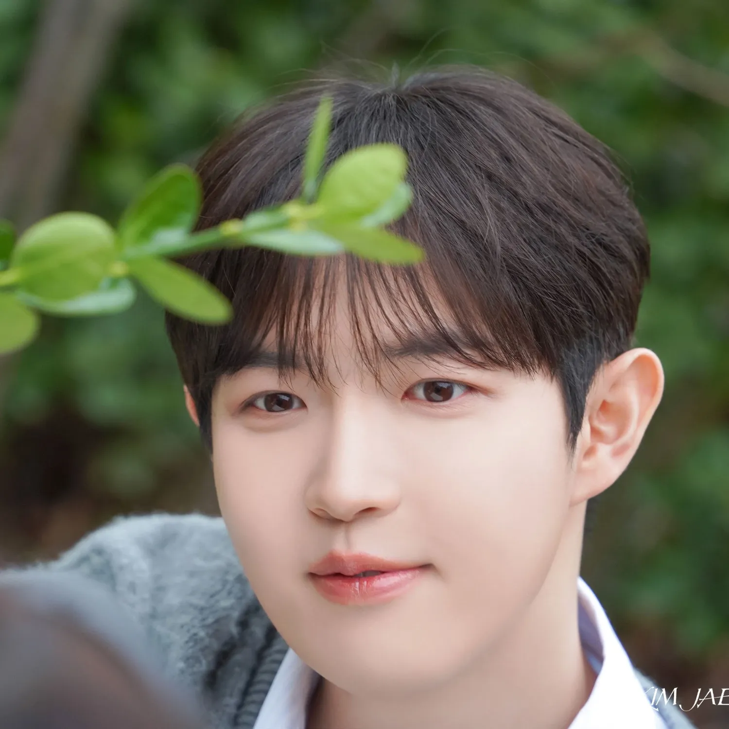 Potret di balik layar Kim Jaehwan