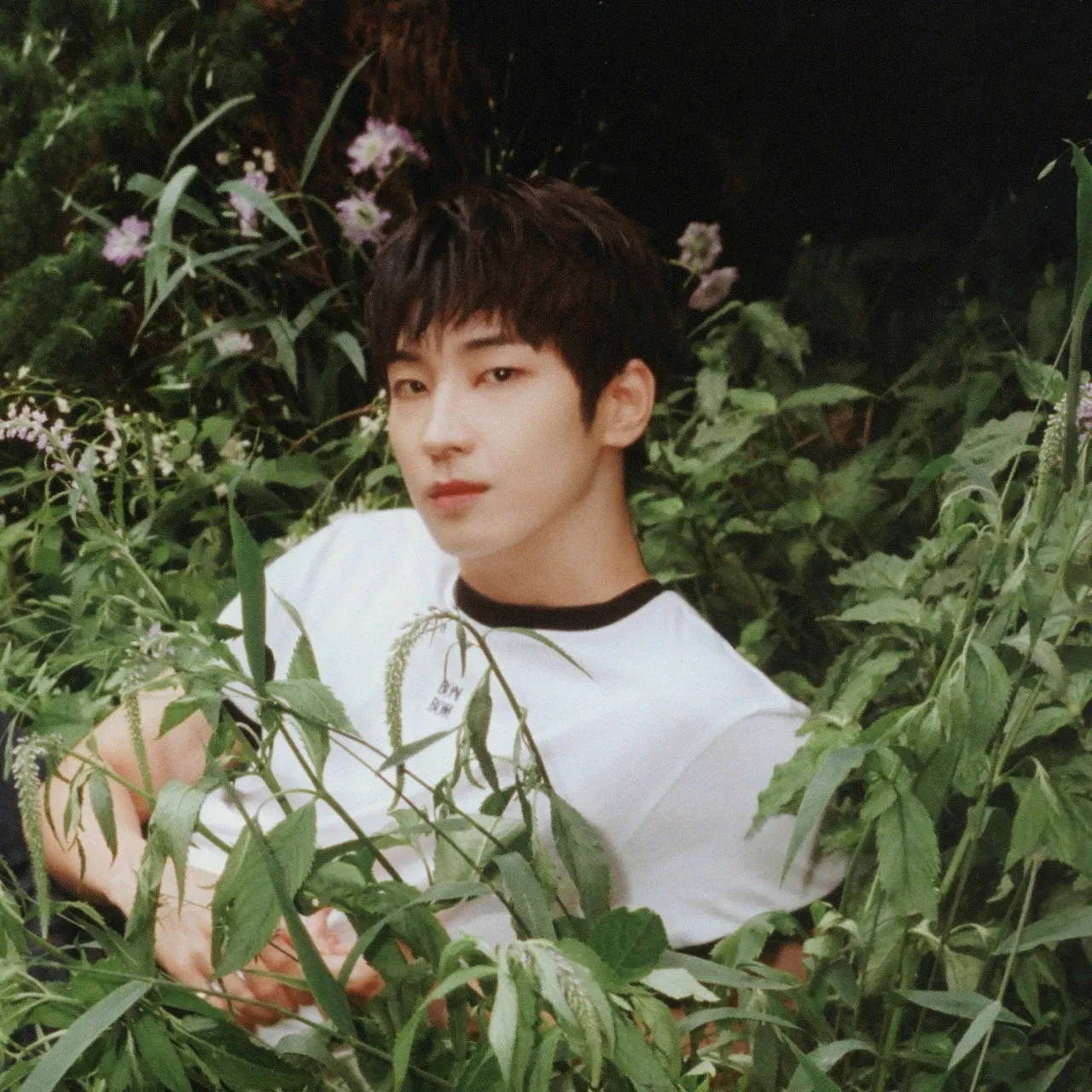 Recent activity shot of Wonwoo (SEVENTEEN)