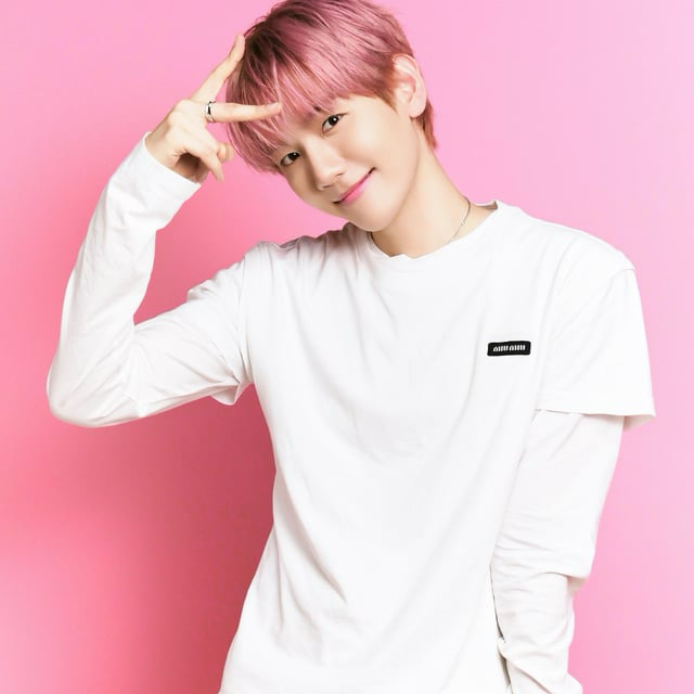 伯賢 (EXO)粉絲拍下的瞬間