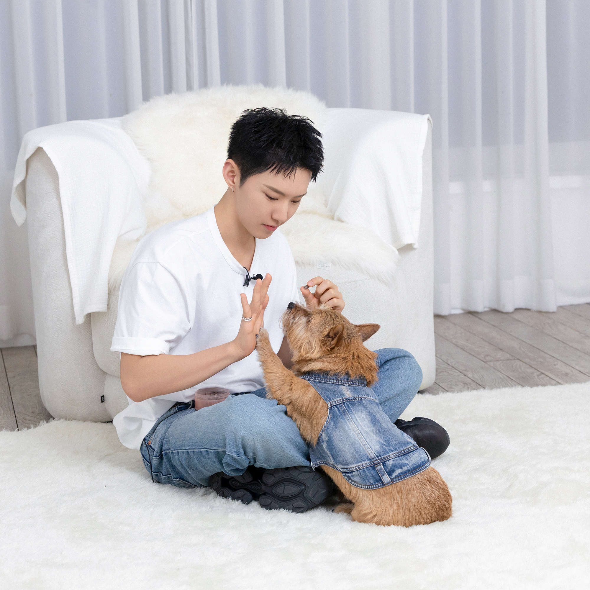 세븐틴의 비하인드 컷