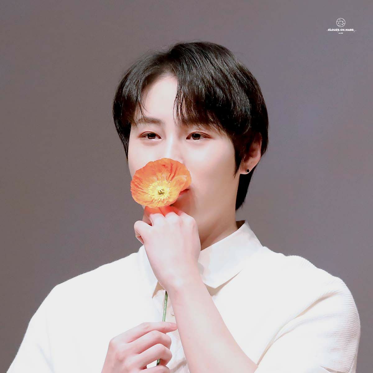 하성운 팬이 찍은 순간