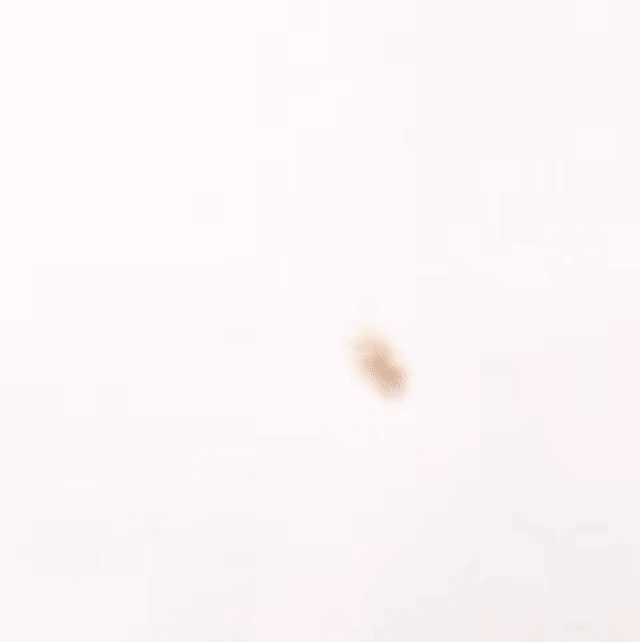 아스트로 팬이 찍은 순간