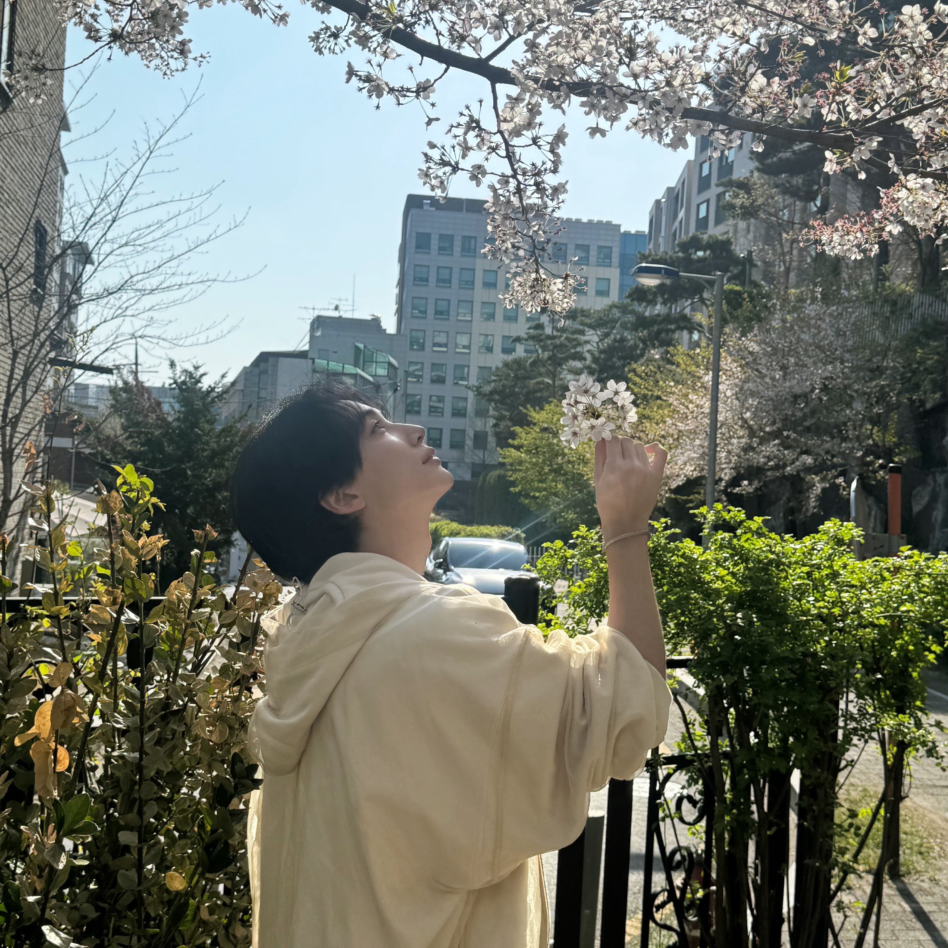 세븐틴의 비하인드 컷