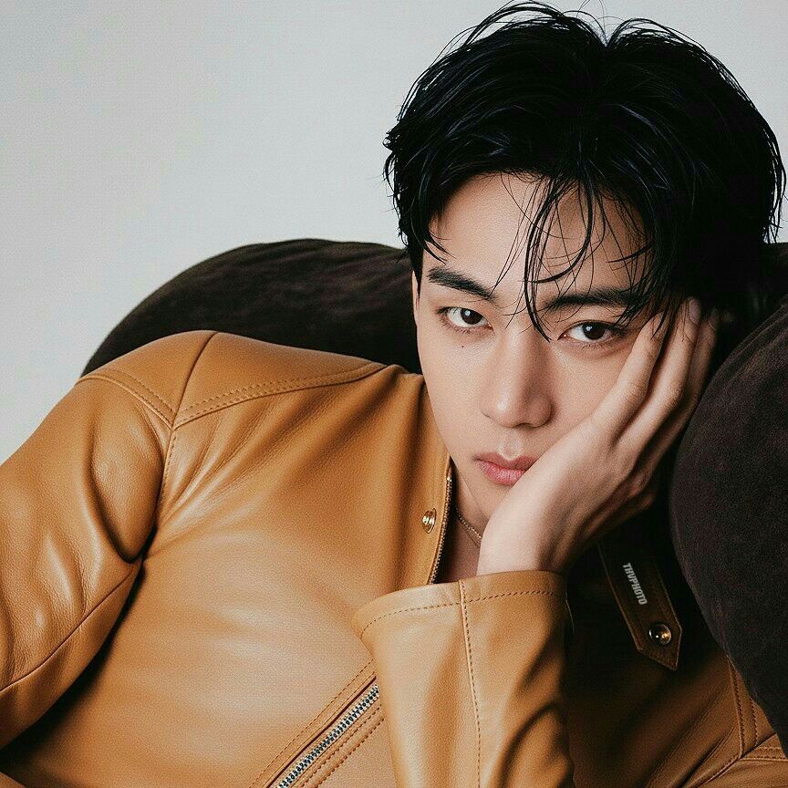 Behind-the-scenes cut of V (BTS)