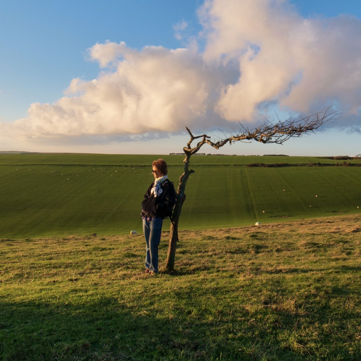 슈퍼주니어 팬이 찍은 순간