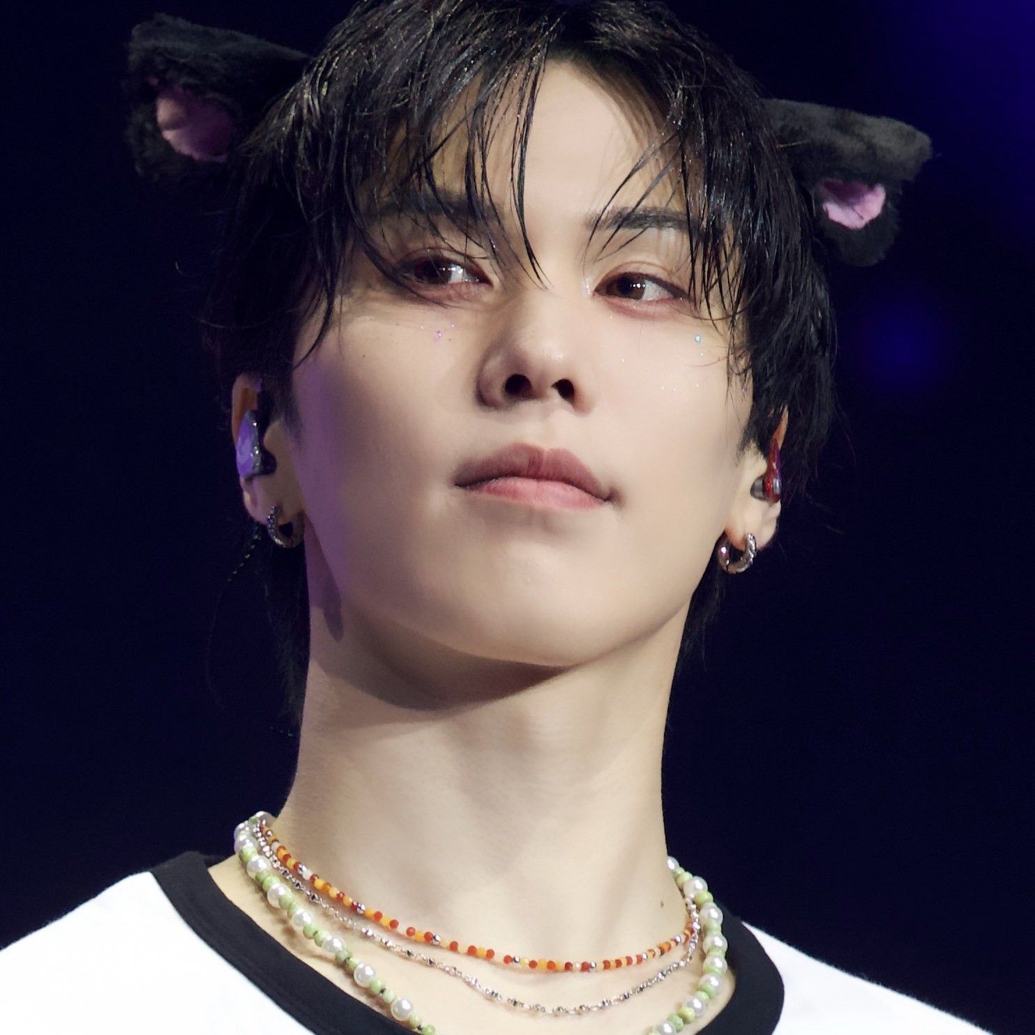 Recent activity shot of Rocky