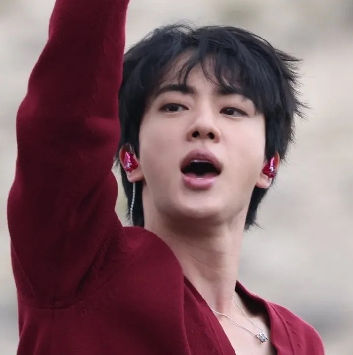 진 (방탄소년단) 팬이 찍은 순간