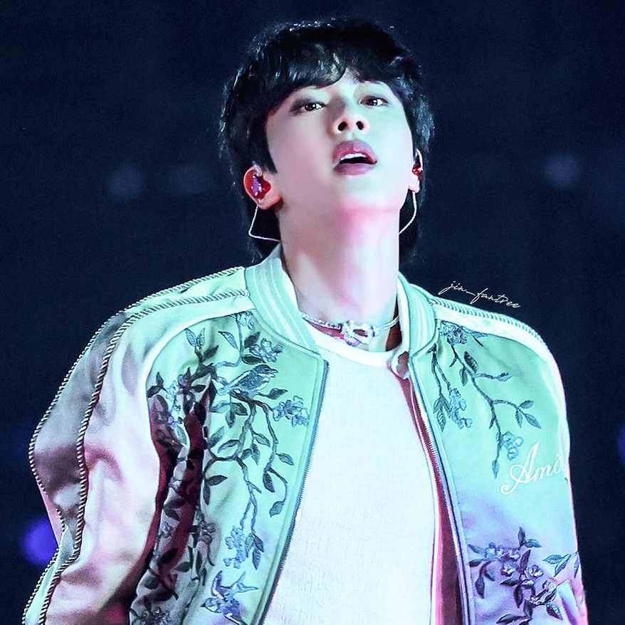 A moment captured by Jin (BTS)'s fan
