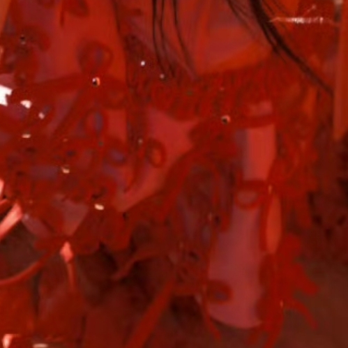 Recent activity shot of Cheng Xiao