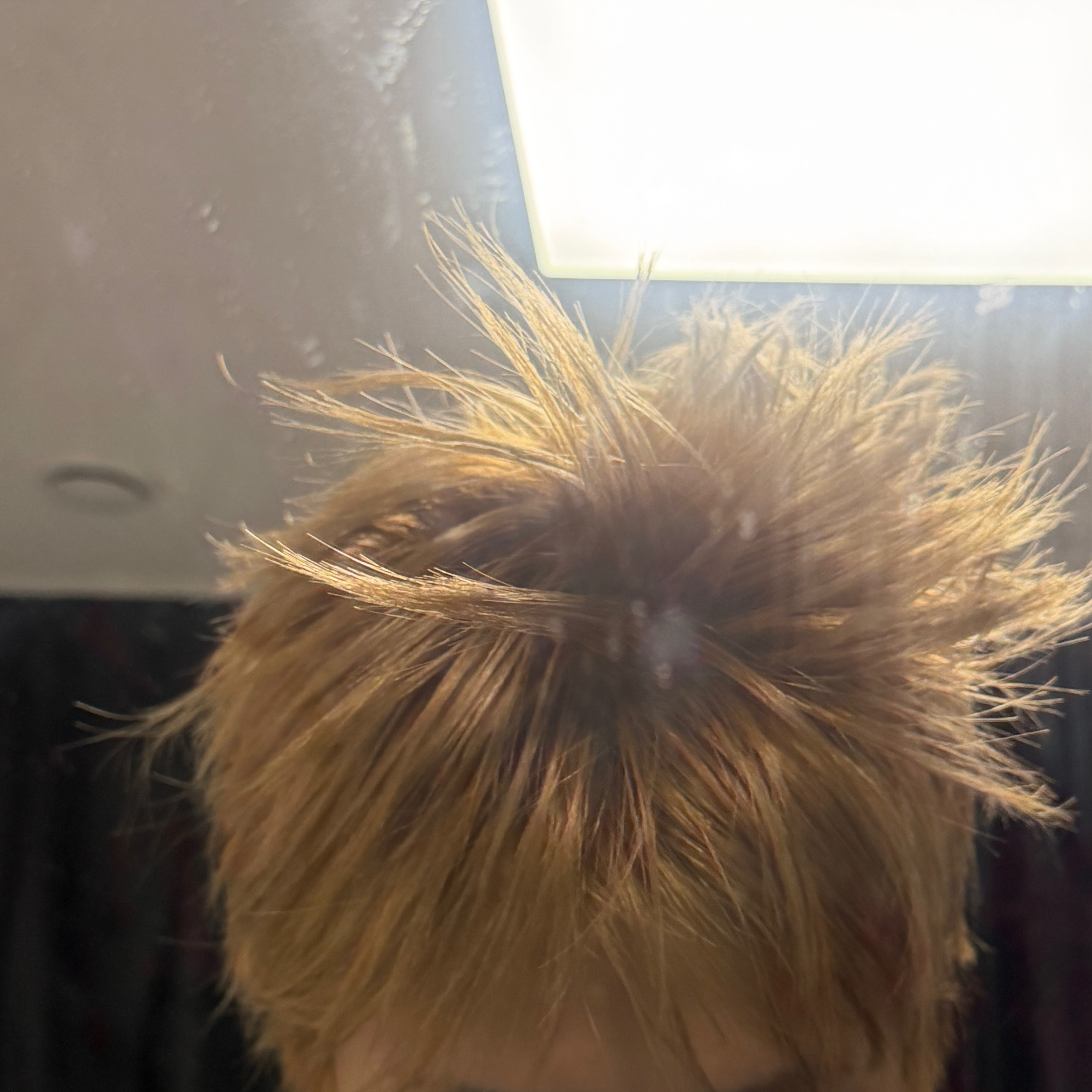 A moment captured by BOYNEXTDOOR's fan