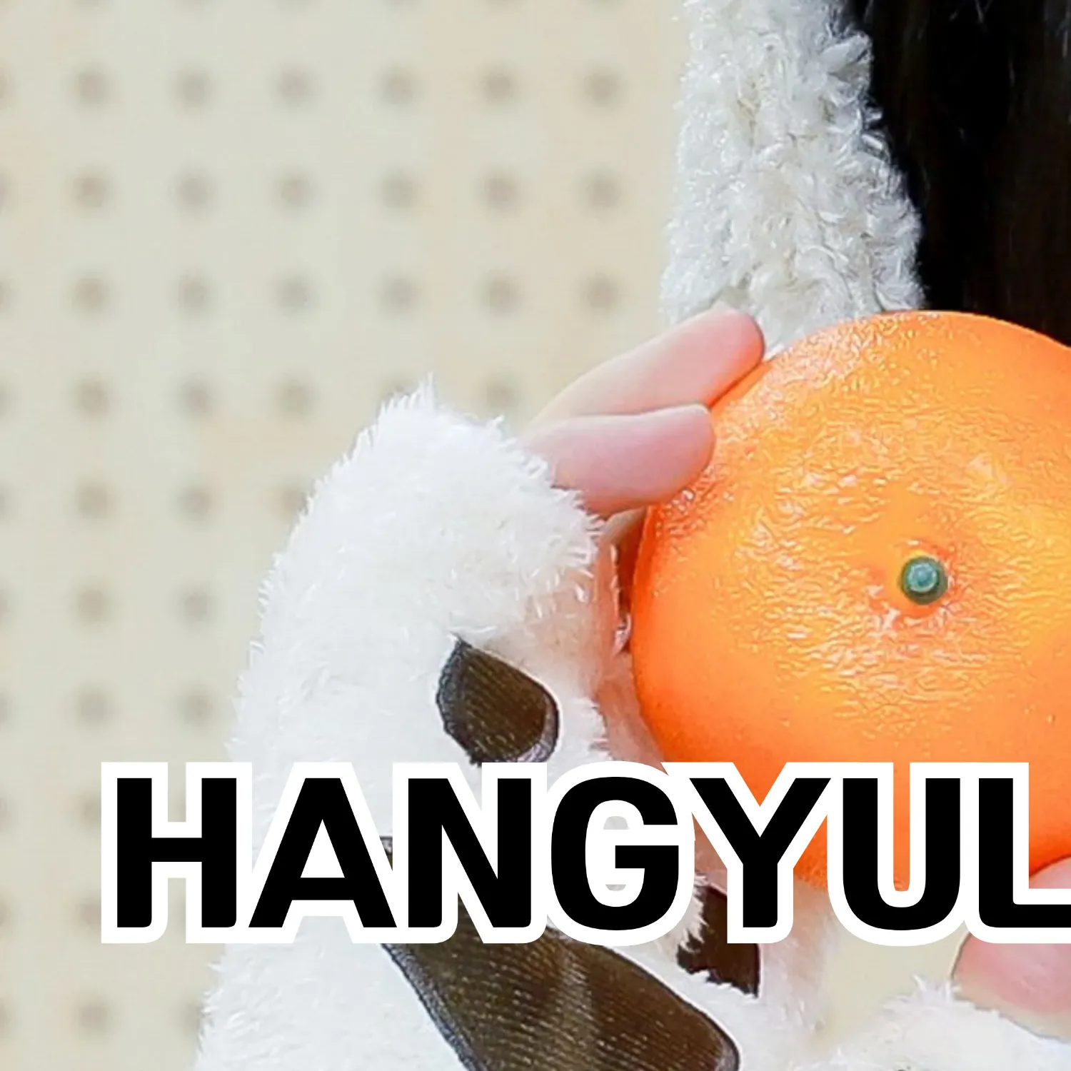 Behind-the-scenes cut of Hangyul (POLARIX)