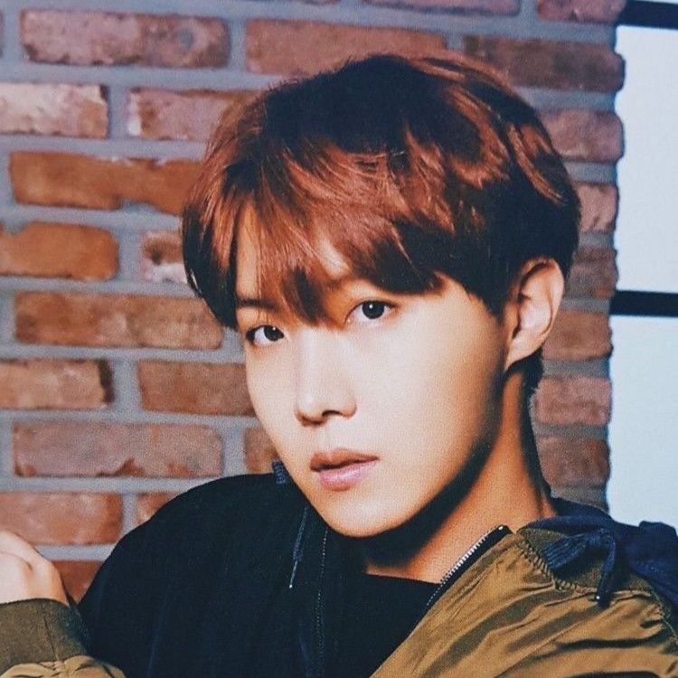 제이홉 (방탄소년단) 팬이 찍은 순간