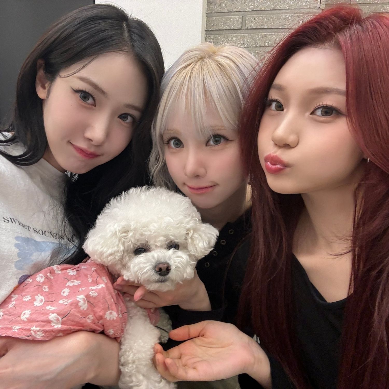 Recent activity shot of VIVIZ